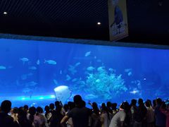 -华夏文旅海洋公园