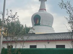 -西塔