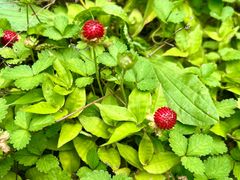 -湖洞水自然风景区