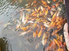 -上海方塔园