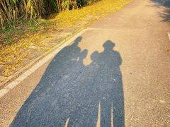 -白鹭湾湿地公园