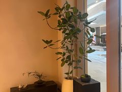 -奈雪茶院·茶室茶馆(广州粤海天地店)