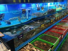 -望海潮海鲜店 特色家常菜(在海一方店)