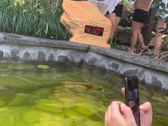 -杭州第一世界大酒店·云曼温泉