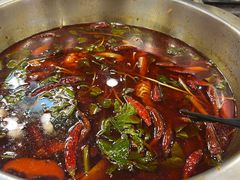 -金鼎雪山牦牛杂火锅(理县总店)