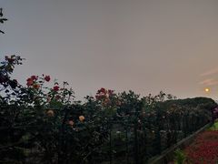 -呼吸森林·生态农庄农家乐私房菜