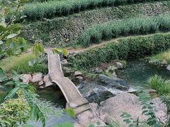 -十九峰景区-倒脱靴