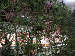 -祥阁食府妈妈菜