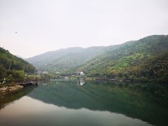 -帐篷客·溪龙茶谷度假酒店