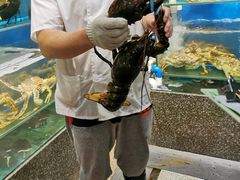 -蚝专家(北滘店)