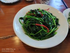 孜然菠菜-巴依老爷新疆美食(常营店)