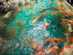 -多彩贵州城极地海洋世界