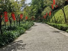 -广州市帽峰山景区