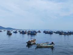 -海源公园