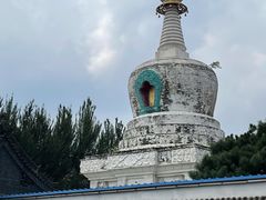 -西塔大冷面(市府大路店)