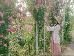 -尚贤河湿地