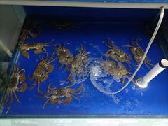 -阳澄湖大闸蟹·琼灵阁牌品牌连锁(吴中总店)