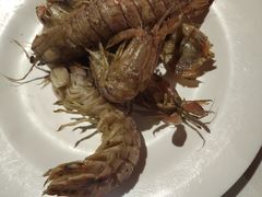 -五月罗马海鲜自助餐厅(陆家嘴店)