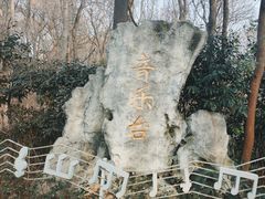 -音乐台