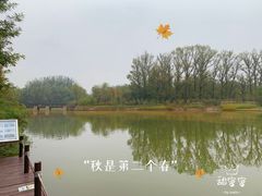 -翠湖国家城市湿地公园