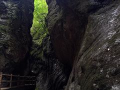 -牛背梁国家森林公园