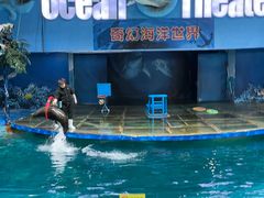 -苏州海洋馆