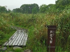 景点-长田漾湿地公园
