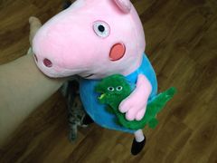 -PAWTOY爪e玩偶店(天兴罗斯福店)