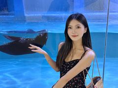 -重庆欢乐海底世界