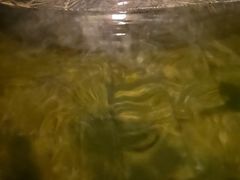 -英德宝晶宫天鹅湖茶语温泉