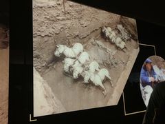-秦始皇帝陵博物院-丽山园