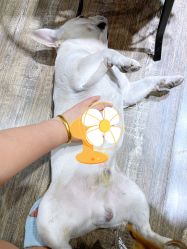 -IDEA·艾蒂尔科技美肤·日式美甲美睫集合店