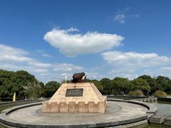 -上海吴淞炮台湾国家湿地公园