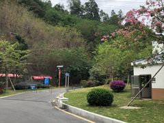 -小南山公园