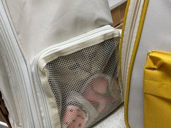 -安安宠医·臻爱宠物医院·宠保定点(营门口路分院)