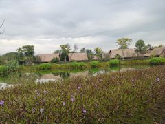 -良渚古城遗址公园
