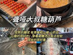 -王浩儿纪六孃甜皮鸭(乐山总店)