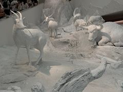 -中国湿地博物馆