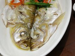 太湖白鱼-王四酒家苏帮菜馆(观前店)