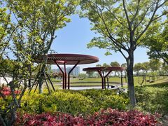 -春花秋色城市公园