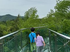 -陶祖圣境风景区