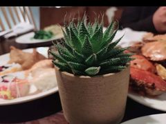 -长春凯悦酒店-品悦中餐厅