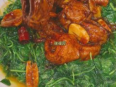 -瑞福园联谊餐室(茂名南路店)