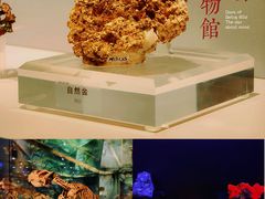 -中国地质博物馆