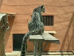 -青藏高原野生动物园