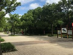 -新江湾城公园