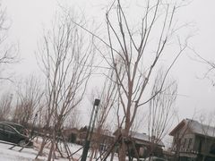 -李哥海鲜烧烤家常菜(孔雀城店)