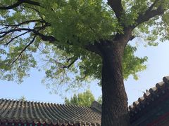 -保定直隶总督署博物馆