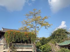 -东莞市可园博物馆