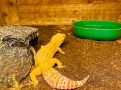 -上海大自然野生昆虫馆